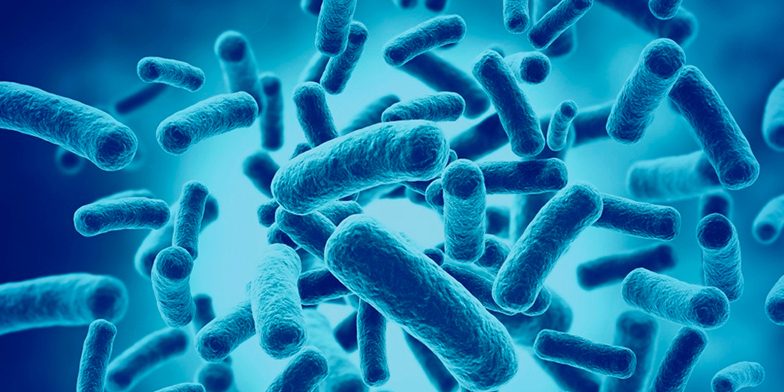 7 Razões Pelas Quais os Suplementos de Probióticos São Importantes Durante a Gravidez